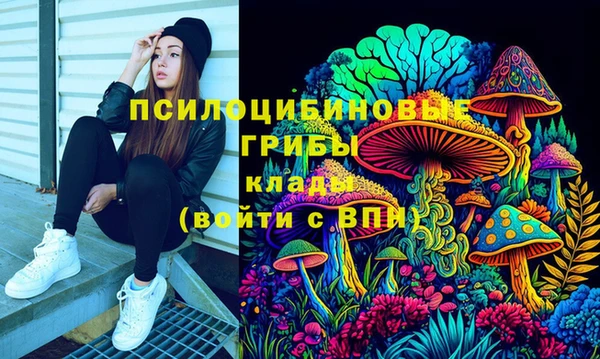 тгк Алексин