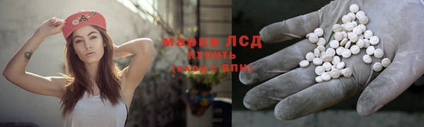 тгк Алексин
