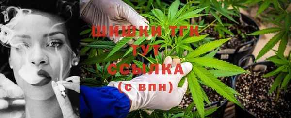 тгк Алексин